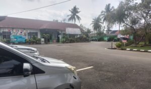 WhatsApp Image 2026-01-21 at 19.31.11